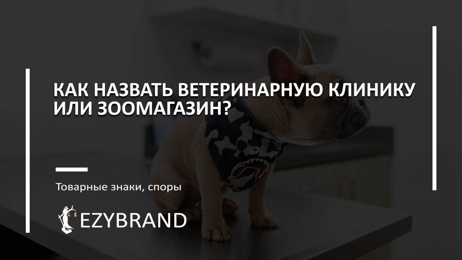 Как назвать ветеринарную клинику или зоомагазин