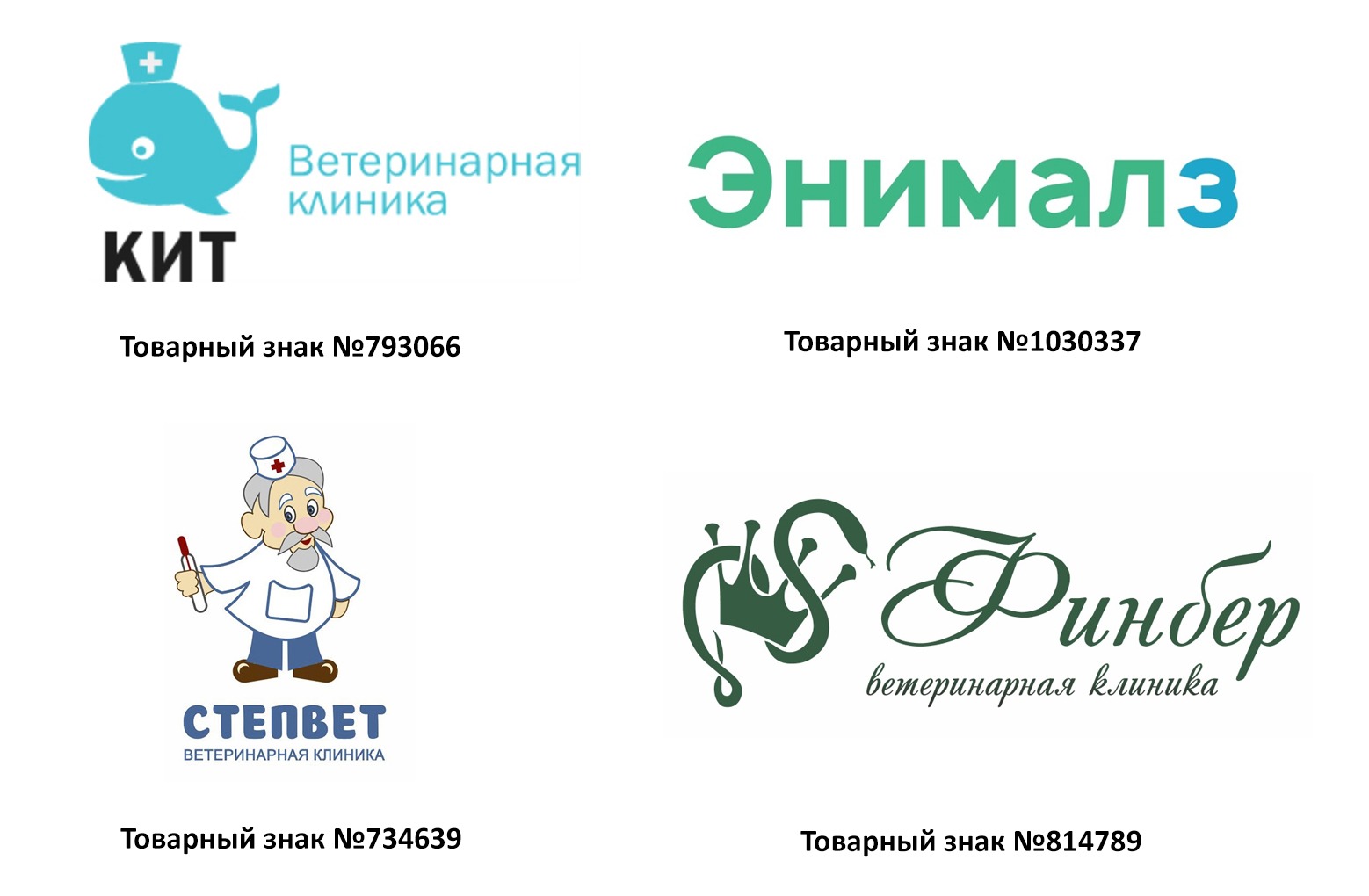 Как назвать ветеринарную клинику или зоомагазин: примеры брендов