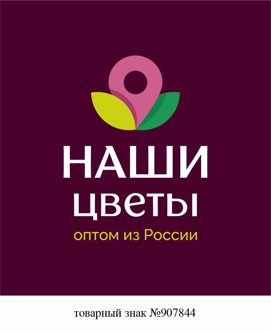 Товарный знак "Наши цветы"