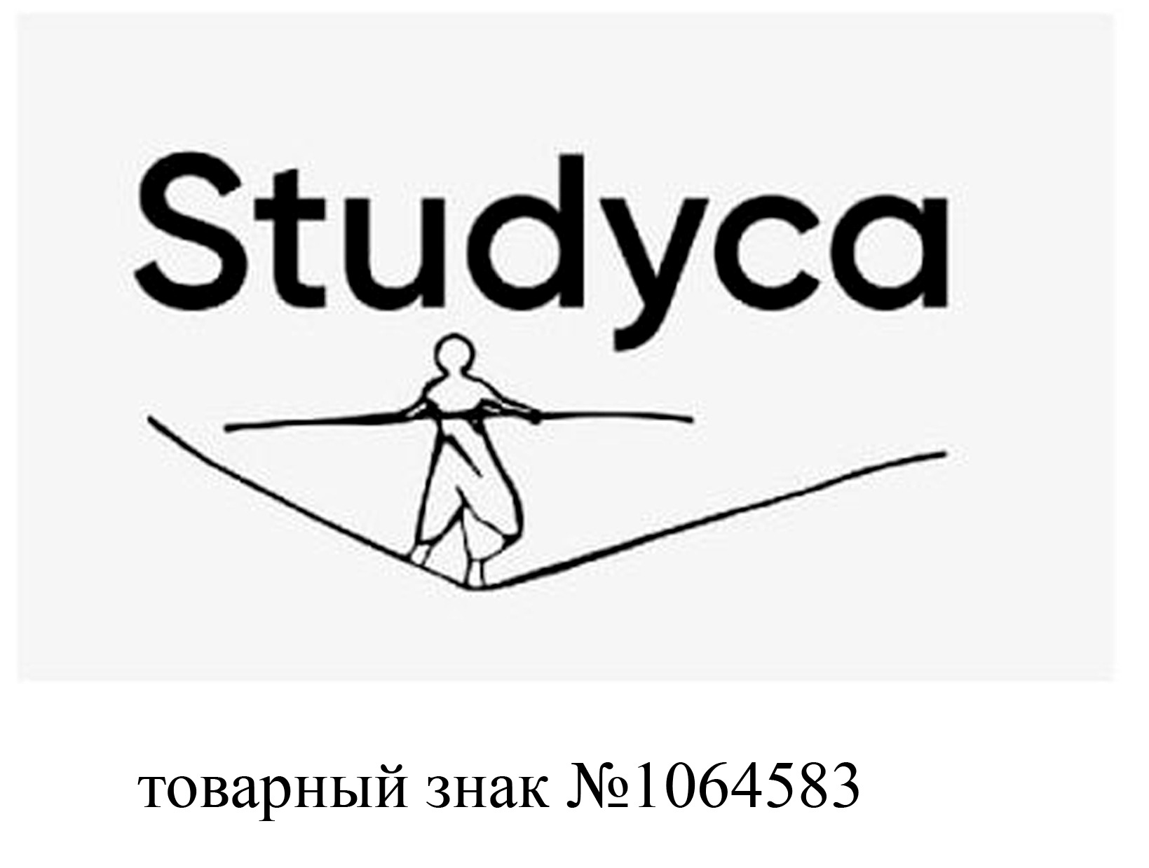 Бренд Studyca