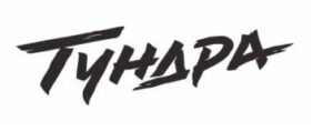 Заявка на регистрацию товарного знака «Тундра» № 2022776852