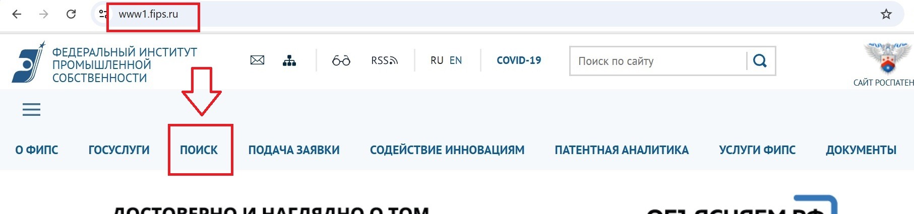 Раздел "Поиск" на сайте ФИПС